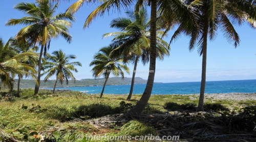 photos for SAMANA THE COVES: OCEAN FRONT LOT 29 405 M2